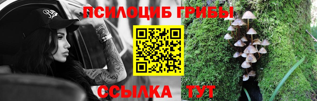 Псилоцибиновые грибы мицелий Вичуга