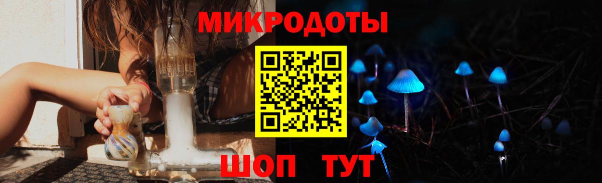 Галлюциногенные грибы Psilocybine cubensis  Вход с VPN  Вичуга 